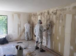 Best Comprehensive Air Testing for Mold Contaminants  in Dimmitt, TX